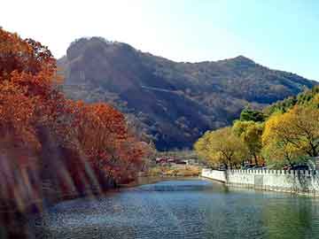 管家婆黑白马报图库，秦画眉